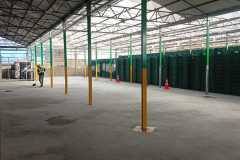 loza-6