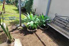 IMG-20250930-WA0024